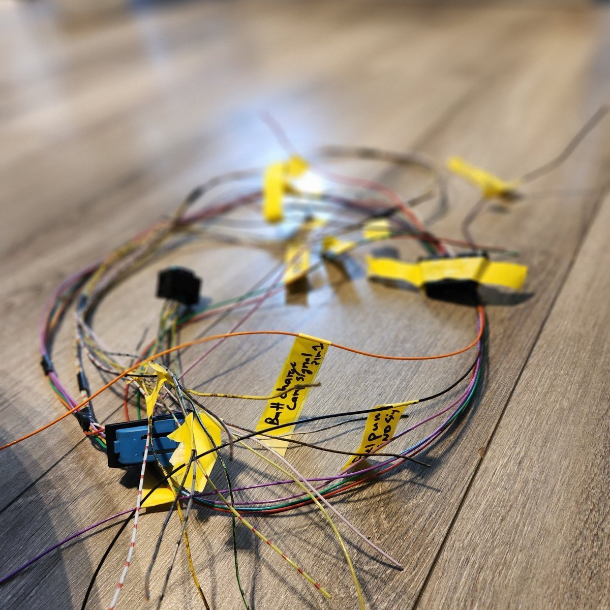 Harness sorting and routing